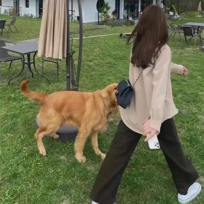 熟悉的她